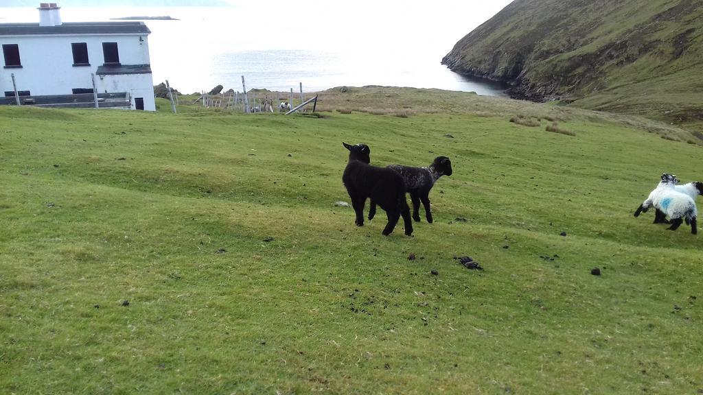 Dooagh Achill West Coast House Bed & Breakfast エクステリア 写真